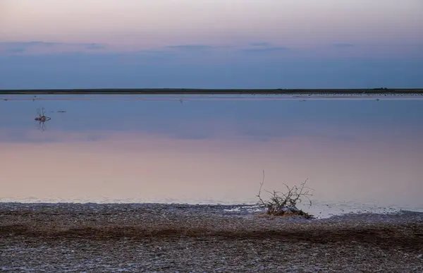 Puesta Sol Lago Extremadamente Salado Rosado Genichesk Coloreado Por Microalgas —  Fotos de Stock