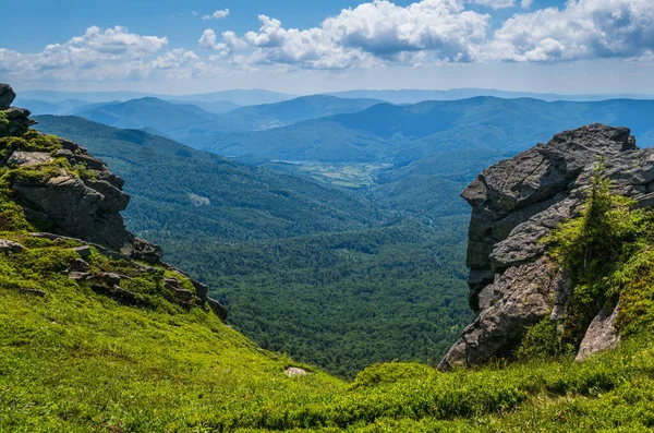 Pendiente Rocosa Verano Pikuj Montaña Superior Cárpatos Ucrania —  Fotos de Stock