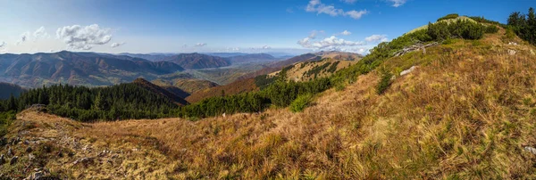 Φθινόπωρο Καρπάθιο Βουνό Πανοραμική Θέα Strymba Mountain Carpathian Transcarpathia Ουκρανία — Φωτογραφία Αρχείου