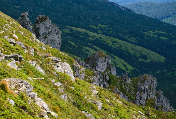 Pendiente Montaña Verano Con Pintorescas Formaciones Rocosas Shpyci Montaña Cárpatos — Foto de Stock