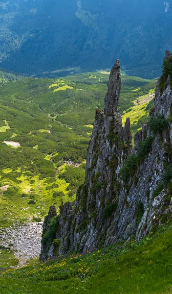 夏天山体陡峭 岩石层次分明 乌克兰喀尔巴阡山Shpyci山 — 图库照片