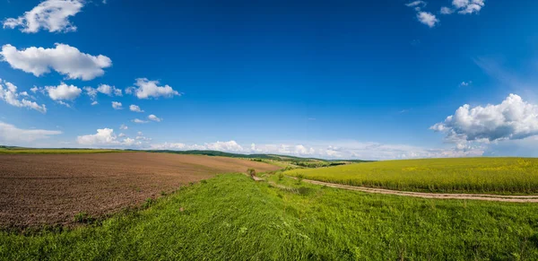 Spring Countryside View Dirty Road Rapeseed Yellow Blooming Fields Village — Stock Photo, Image