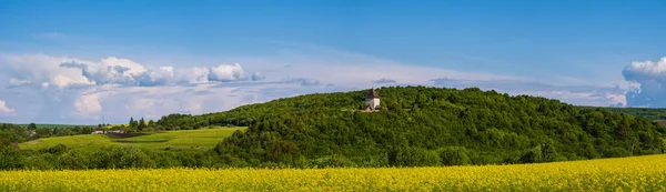 Primavera Colza Amarillo Campos Florecientes Vista Cielo Azul Con Nubes — Foto de Stock