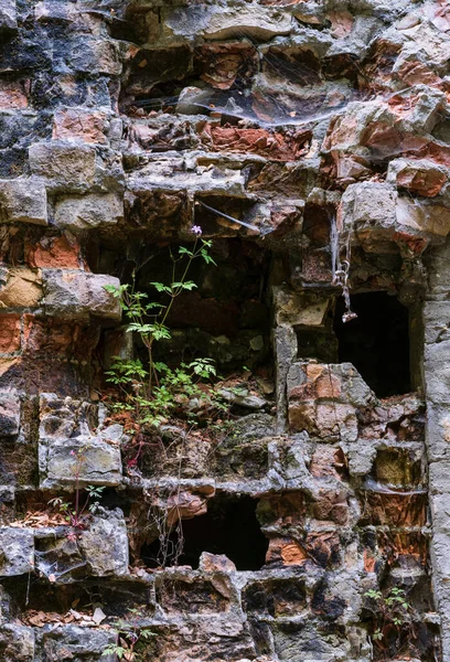 Forte Militar Abandonado Tarakaniv Outros Nomes Forte Dubno Nova Fortaleza — Fotografia de Stock