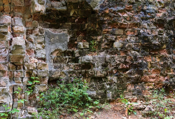 Terk Edilmiş Askeri Tarakaniv Kalesi (diğer adıyla Dubno Kalesi, Yeni Dubna Kalesi) 19. yüzyılın mimari anıtı, Tarakaniv, Rivne bölgesi, Ukrayna.