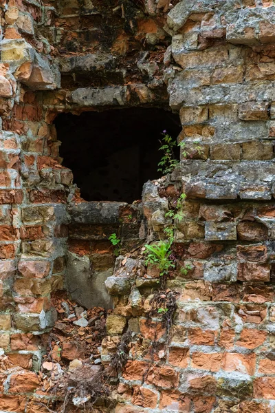 Forte Militar Abandonado Tarakaniv Outros Nomes Forte Dubno Nova Fortaleza — Fotografia de Stock