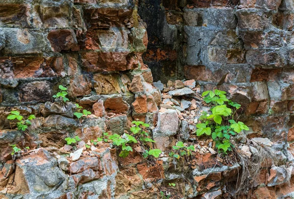 Abbandonato Militare Tarakaniv Fort Altri Nomi Dubno Fort New Dubna — Foto Stock