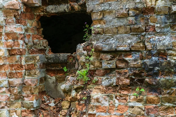 Övergiven Militär Tarakaniv Fort Andra Namn Dubno Fort New Dubna — Stockfoto