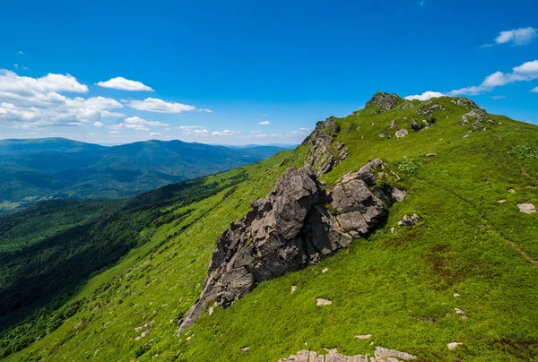 Letní Skalnatý Svah Špička Hory Pikuj Karpatská Ukrajina — Stock fotografie