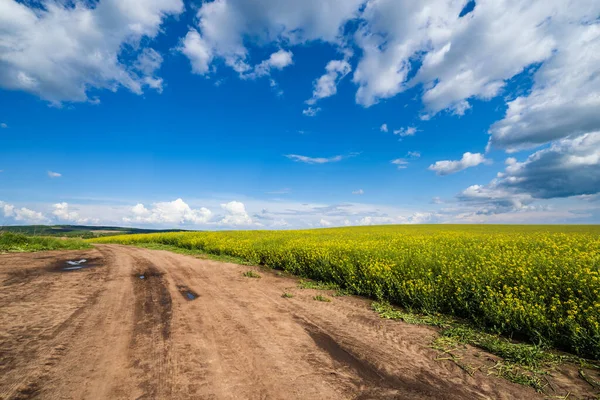 Vista Paisagem Primavera Com Estrada Suja Campos Florescentes Amarelos Colza — Fotografia de Stock