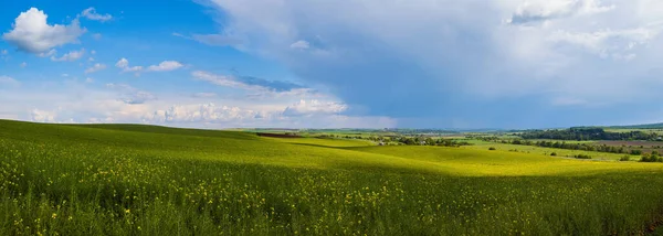 Jarní Řepkové Semínko Žluté Kvetoucí Pole Panoramatický Výhled Modrá Obloha — Stock fotografie