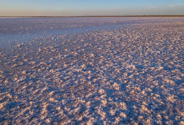 Západ Slunce Genichesk Růžové Extrémně Slané Jezero Zbarvené Mikrořasami Krystalickými — Stock fotografie