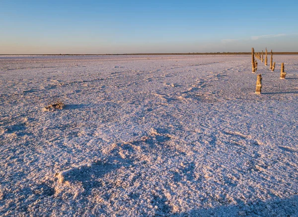 Zonsondergang Genichesk Roze Extreem Zoute Meer Gekleurd Door Microalgen Met — Stockfoto