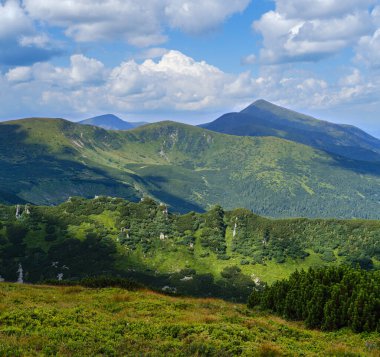 Resimli kaya oluşumlarıyla yaz dağı yamacı. Shpyci Dağı, Karpatlar, Ukrayna.