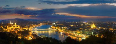 Budapeşte gece manzarası. Uzun pozlama (odak dışı ön plandaki ağaçlar ve hareket bulanıklığı).