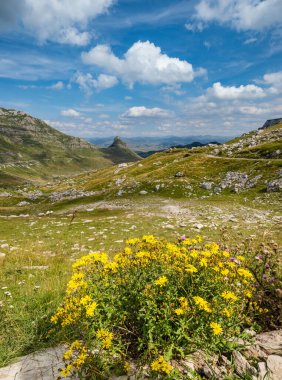 Durmitor Milli Parkı Pitoresk yaz dağ manzara, Karadağ, Avrupa, Balkanlar Dinaric Alpler, Unesco Dünya Mirası. Durmitor panoramik yol, Sedlo geçidi.