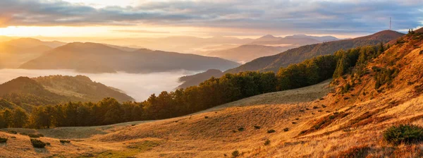 Otoño Mañana Montaña Vista Panorámica Con Rayos Sol Través Bruma —  Fotos de Stock