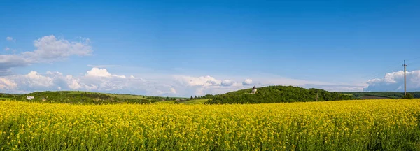 Spring Rapeseed Yellow Blooming Fields View Blue Sky Clouds Sunlight — Stock Photo, Image