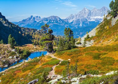 Güneşli sonbahar dağ manzarası. Şeffaf su ve yansımalarıyla huzurlu dağ ormanı gölü. Spiegelsee veya Mirror Lake, Reiteralm, Steiermark, Avusturya.