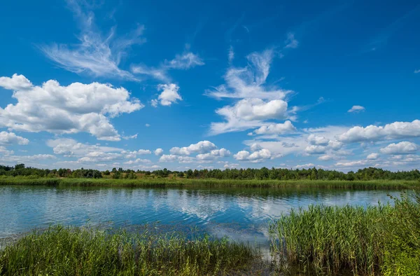 Маленькое Живописное Рушистое Озеро Солнечный Летний День — стоковое фото