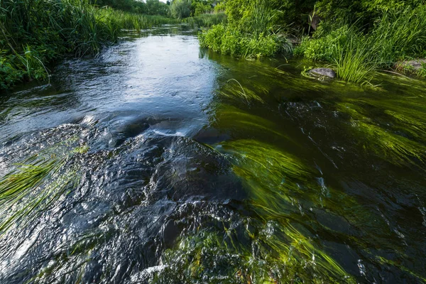 Petit Étang Rustique Pittoresque Sur Rivière Ensoleillé Journée Été Sur — Photo