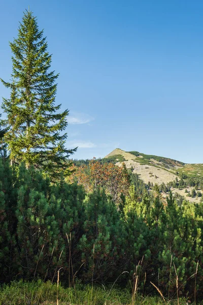 Večerní Pohled Letní Karpaty Masiv Stony Gorgany Ukrajina — Stock fotografie