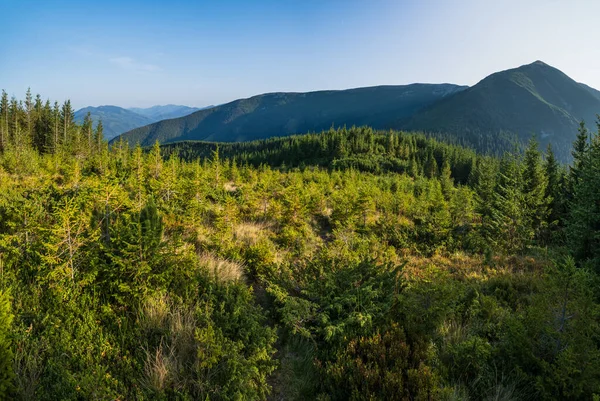 Večerní Pohled Letní Karpaty Masiv Stony Gorgany Ukrajina — Stock fotografie