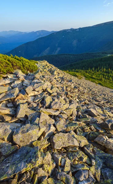 Večerní Pohled Letní Karpaty Masiv Stony Gorgany Ukrajina — Stock fotografie