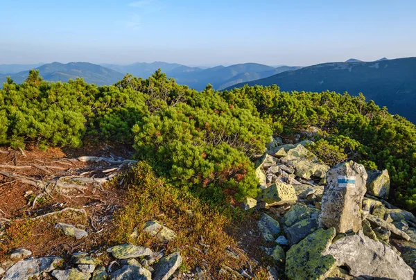 Večerní Pohled Letní Karpaty Masiv Stony Gorgany Ukrajina — Stock fotografie