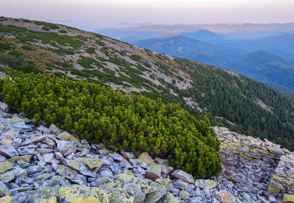 夏日喀尔巴阡山脉晚景 Stony Gorgany Massif 乌克兰 — 图库照片