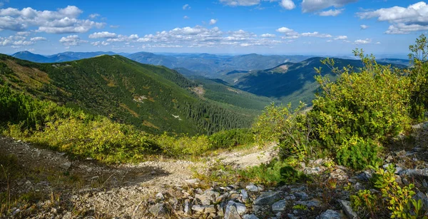 Vue Sur Les Montagnes Des Carpates Été Massif Pierreux Gorgany — Photo