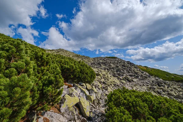 Θέα Στα Βουνά Των Καρπαθίων Stony Gorgany Massif Ουκρανία — Φωτογραφία Αρχείου