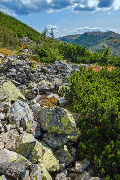 Sommer Blick Auf Die Karpaten Steiniges Gorgany Massiv Ukraine — Stockfoto