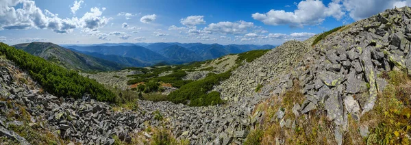 Letní Pohled Karpaty Masiv Stony Gorgany Ukrajina — Stock fotografie