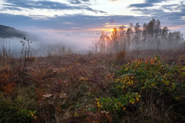 Cloudy Foggy Autumn Mountain Sunrise Scene Peaceful Picturesque Traveling Seasonal — Stock Photo, Image