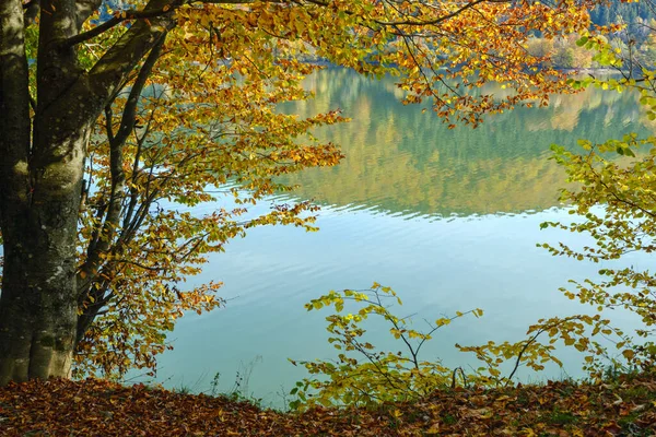 Waterreservoir Van Vilshany Tereblya Rivier Transcarpathia Oekraïne Schilderachtig Meer Met — Stockfoto