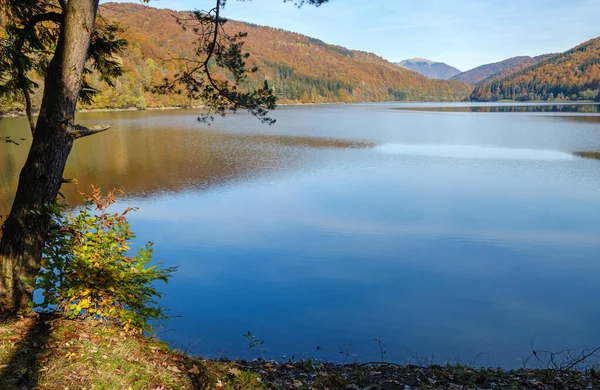 Bosque Prado Orilla Del Lago Pintoresco Depósito Agua Vilshany Río — Foto de Stock