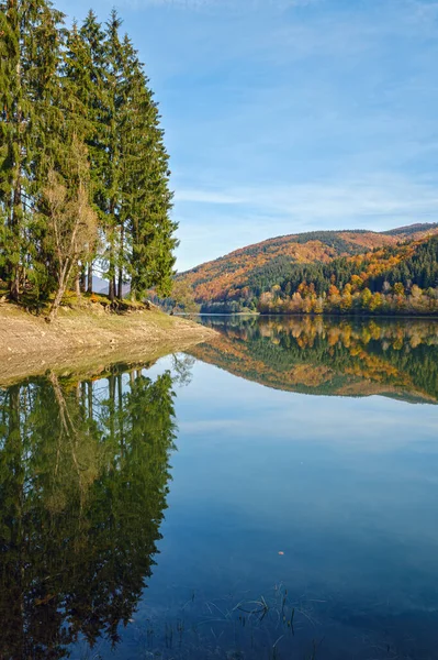 Prairie Forestière Sur Rive Lac Pittoresque Réservoir Eau Vilshany Sur — Photo