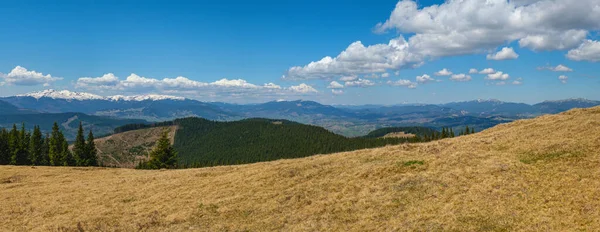 Весенняя Панорама Карпатского Горного Плато Еловым Лесом Склоне Украина — стоковое фото