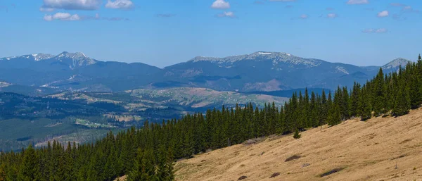 Panorama Primavera Planalto Montanha Dos Cárpatos Com Floresta Abetos Encosta — Fotografia de Stock