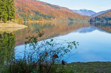 Tereblya nehri üzerindeki Vilshany su deposu, Transcarpathia, Ukrayna. Bulutların yansıması olan görkemli bir göl. Karpat Dağları 'nda güzel bir sonbahar günü.