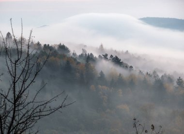Bulutlu ve sisli sonbahar dağ gündoğumu sahnesi. Huzurlu manzaralı seyahat, mevsimsel, doğa ve kırsal güzellik konsepti.