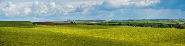 Spring Evening View Rapeseed Yellow Blooming Fields Sunlight Cloud Shadows — Stock Photo, Image