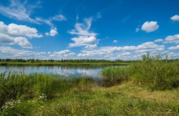 Small Picturesque Rushy Lake Sunny Summer Day — Stock Photo, Image