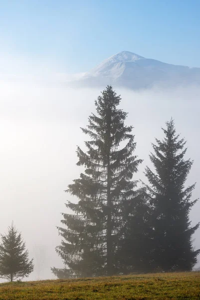 Mlhavá Podzimní Horská Scéna Hourfrosted Mountain Top Far Klidné Malebné — Stock fotografie