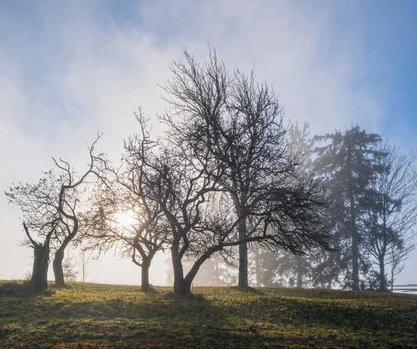 Foggy Automne Montagne Lever Soleil Scène Calme Voyage Pittoresque Saisonnier — Photo