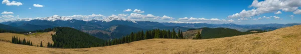 Panorama Primavera Planalto Montanha Dos Cárpatos Com Floresta Abetos Encosta — Fotografia de Stock