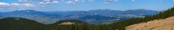 Cárpatos Montaña Meseta Primavera Panorama Con Bosque Abeto Pendiente Ucrania —  Fotos de Stock