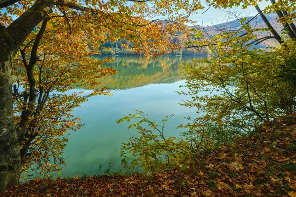 テレブリヤ川のヴィルシャニー貯水池 トランスカルパティア ウクライナ 雲の反射と絵のような湖 カルパチア山脈の美しい秋の日 — ストック写真