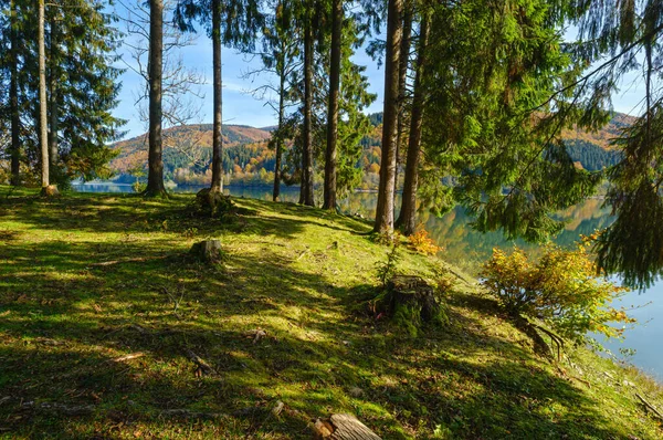 Prairie Forestière Sur Rive Lac Pittoresque Réservoir Eau Vilshany Sur — Photo